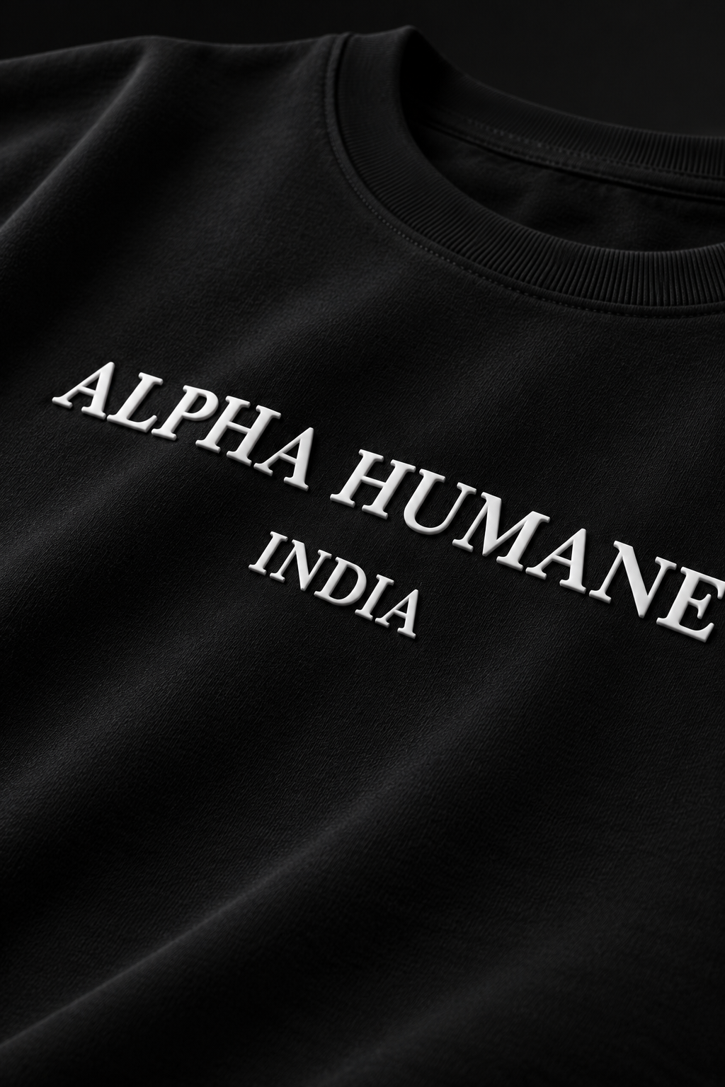 ALPHA HUMANE INDIA OVERSIZED TSHIRT